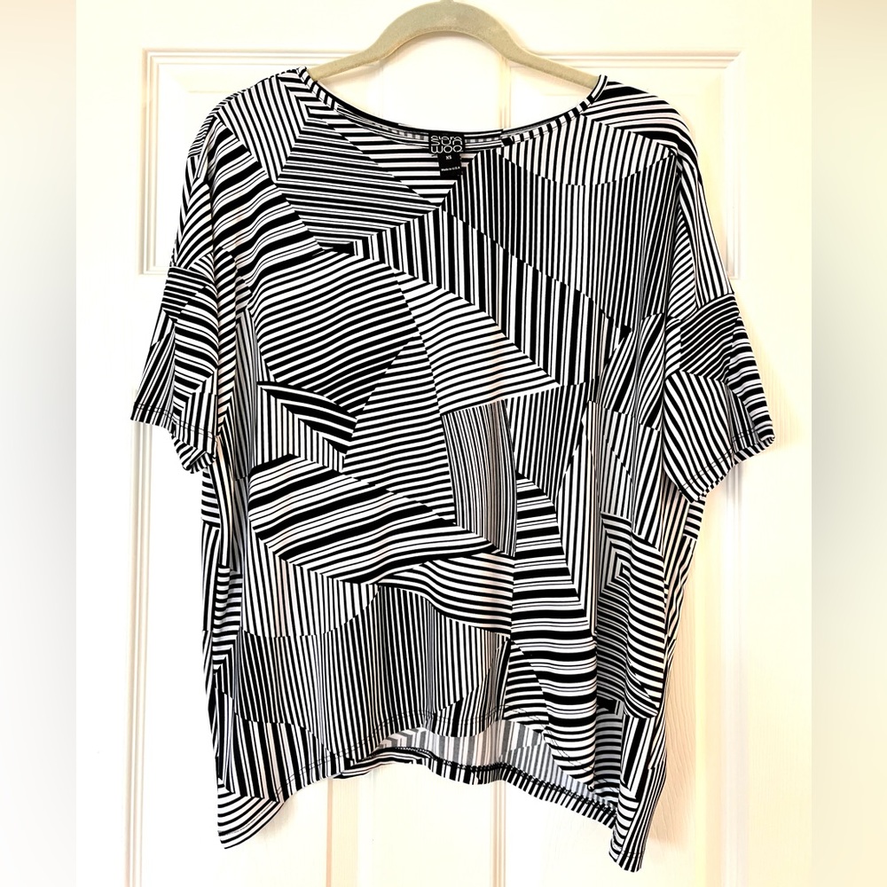 Clara Sun Woo Wrinkle Free Top